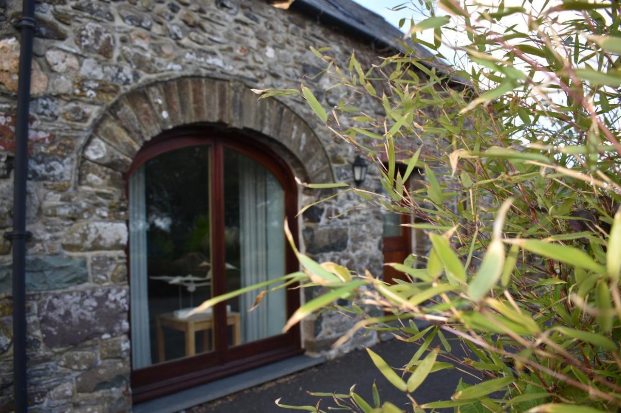 Crug Glas Country House 圣大卫 外观 照片