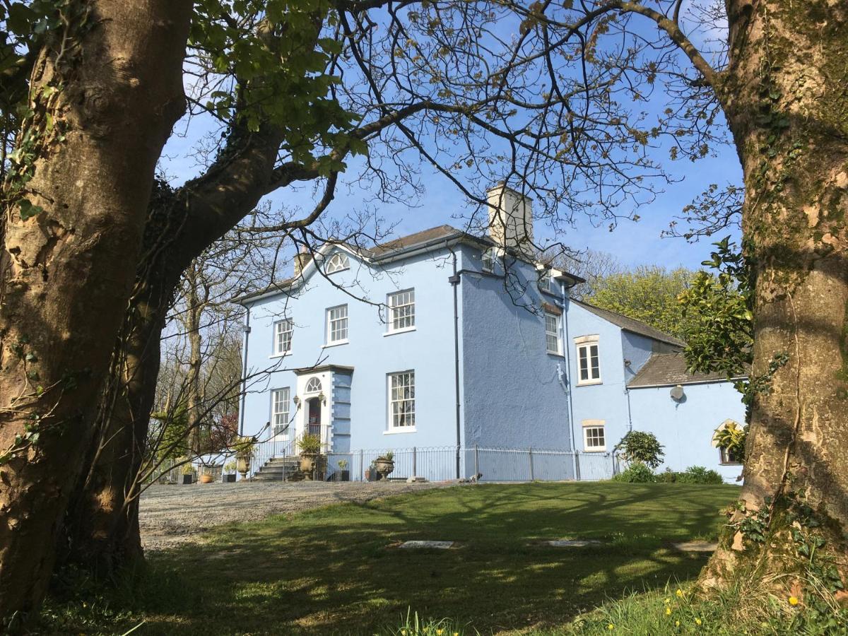 Crug Glas Country House 圣大卫 外观 照片